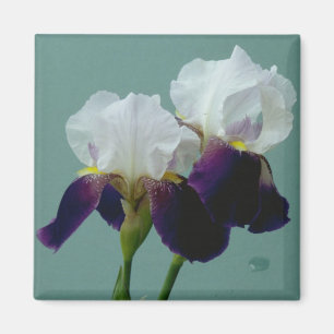 Blumen-Magnet Magnet