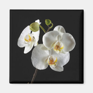 Blumen-Magnet Magnet