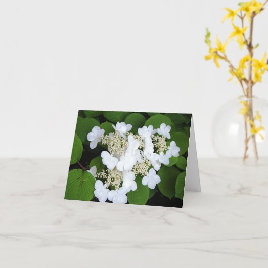 "Blumen mögen Schmetterlinge " Karte (Gelbe Blume)