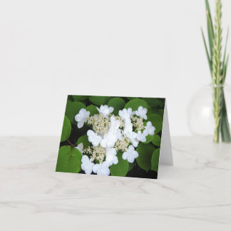 "Blumen mögen Schmetterlinge " Karte