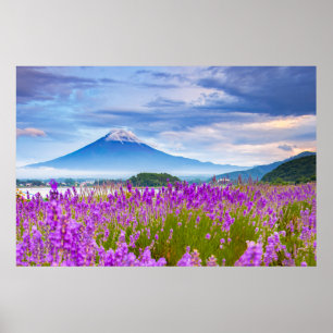Blumen Mount Fugi Japan Poster