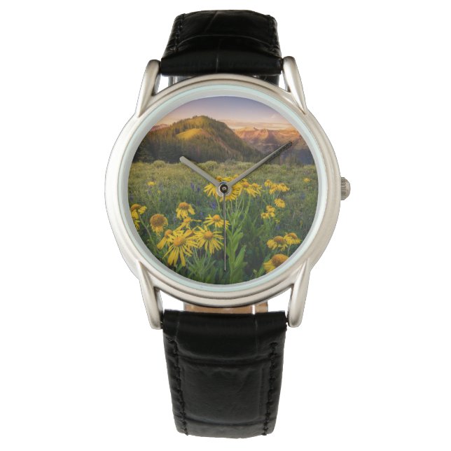 Blumen | Mountain Meadow Crested Butte Colorado Armbanduhr (Vorderseite)