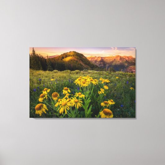Blumen | Mountain Meadow Crested Butte Colorado Leinwanddruck (Vorderseite)
