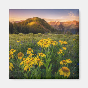 Blumen Mountain Meadow Crested Butte Colorado Magnet