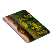 Blumen | Mountain Meadow Crested Butte Colorado Magnet (Rechte Seite)