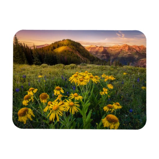 Blumen | Mountain Meadow Crested Butte Colorado Magnet (Horizontal)