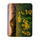 Blumen | Mountain Meadow Crested Butte Colorado Magnet (Vertikal)