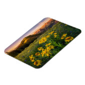 Blumen | Mountain Meadow Crested Butte Colorado Magnet (Linke Seite)