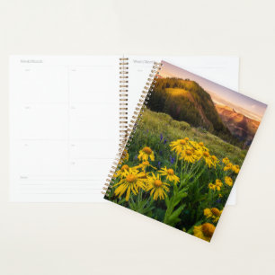Blumen   Mountain Meadow Crested Butte Colorado Planer