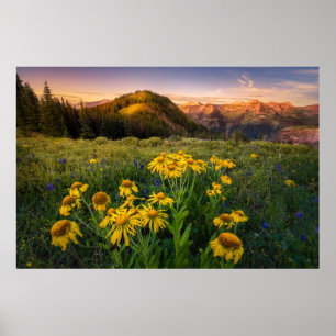 Blumen Mountain Meadow Crested Butte Colorado Poster