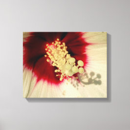 Blumen Nah Up Foto Single Art Poster Leinwanddruck