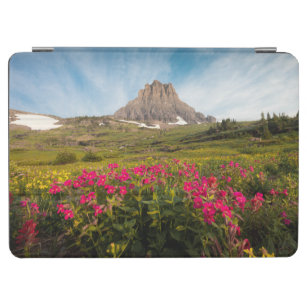 Blumen   Nationalpark des Gletschers von Montana iPad Air Hülle