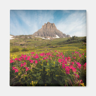 Blumen   Nationalpark des Gletschers von Montana Magnet