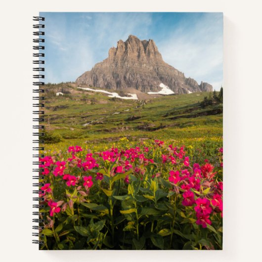 Blumen | Nationalpark des Gletschers von Montana Notizblock (Vorderseite)