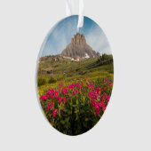 Blumen | Nationalpark des Gletschers von Montana Ornament (Vorderseite)