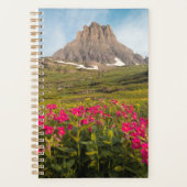 Blumen | Nationalpark des Gletschers von Montana Planer (Vorderseite)