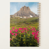 Blumen | Nationalpark des Gletschers von Montana Planer (Rückseite)