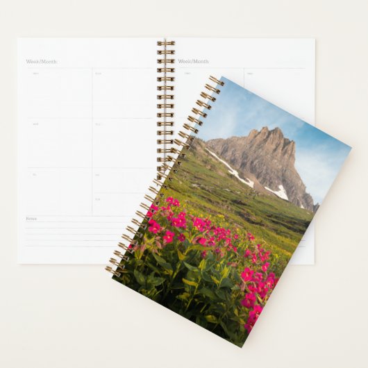 Blumen | Nationalpark des Gletschers von Montana Planer (Anzeige)