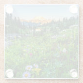 Blumen | Nationalpark Rainier Glasuntersetzer (Rückseite)