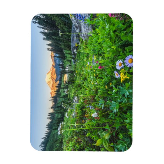 Blumen | Nationalpark Rainier Magnet (Vertikal)