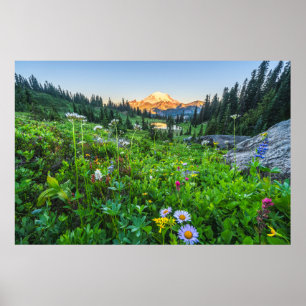 Blumen   Nationalpark Rainier Poster