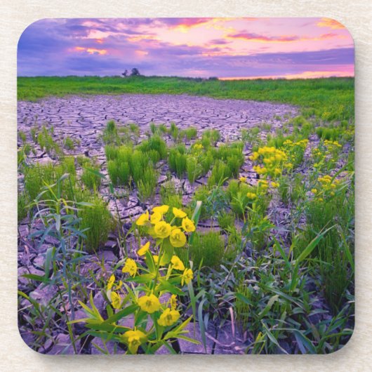 Blumen | North Dakota Red River Valley Getränkeuntersetzer (Vorderseite)