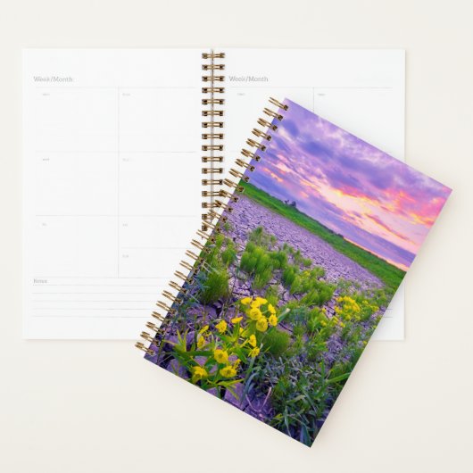 Blumen | North Dakota Red River Valley Planer (Anzeige)