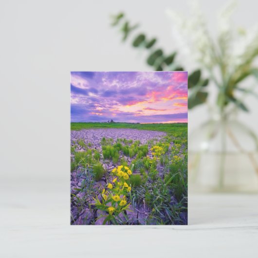 Blumen | North Dakota Red River Valley Postkarte (Stehend Vorderseite)