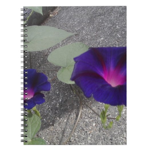 Blumen Notizbuch Notizblock (Vorderseite)