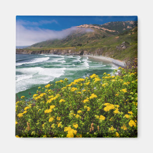 Blumen oberhalb des Sand-Dollar-Strandes Magnet