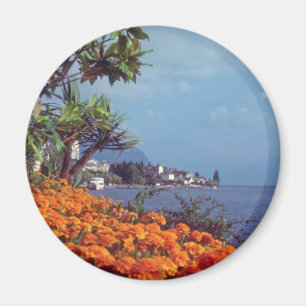 Blumen orange Genfersees, Montreux, die Schweiz Magnet