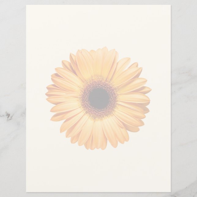 Blumen | Orange Gerbera (Vorderseite)