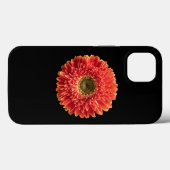 Blumen | Orange Gerbera Daisy Case-Mate iPhone Hülle (Rückseite (Horizontal))