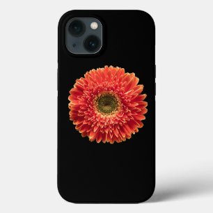 Blumen Orange Gerbera Daisy Case-Mate iPhone Hülle