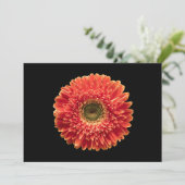 Blumen | Orange Gerbera Daisy Dankeskarte (Stehend Vorderseite)