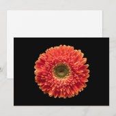 Blumen | Orange Gerbera Daisy Dankeskarte (Vorne/Hinten)
