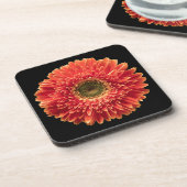 Blumen | Orange Gerbera Daisy Getränkeuntersetzer (Linke Seite)