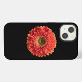Blumen | Orange Gerbera-Daisy iPhone Hülle (Rückseite (Horizontal))