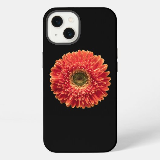 Blumen | Orange Gerbera-Daisy iPhone Hülle (Rückseite)