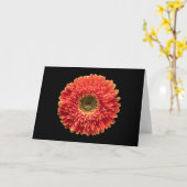Blumen | Orange Gerbera Daisy Karte (Gelbe Blume)