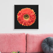 Blumen | Orange Gerbera Daisy Leinwanddruck (Insitu (Wohnzimmer))