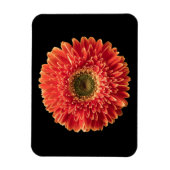 Blumen | Orange Gerbera Daisy Magnet (Vertikal)