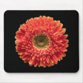 Blumen | Orange Gerbera Daisy Mousepad (Vorne)