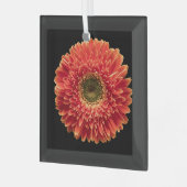 Blumen | Orange Gerbera Daisy Ornament Aus Glas (Vorderseite links)