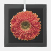Blumen | Orange Gerbera Daisy Ornament Aus Glas (Vorderseite)
