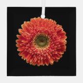 Blumen | Orange Gerbera Daisy Ornament Aus Glas (Rückseite)