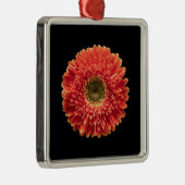 Blumen | Orange Gerbera Daisy Ornament Aus Metall (Rechts)