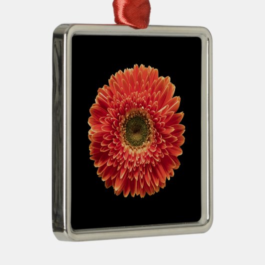Blumen | Orange Gerbera Daisy Ornament Aus Metall (Rechts)