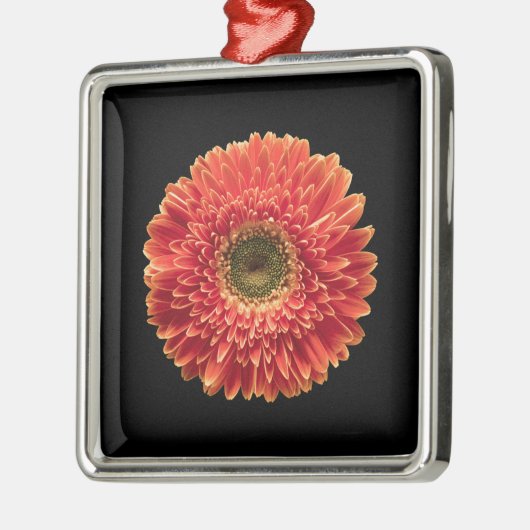 Blumen | Orange Gerbera Daisy Ornament Aus Metall (Links)