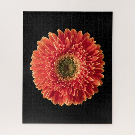 Blumen | Orange Gerbera Daisy Puzzle (Vertikal)